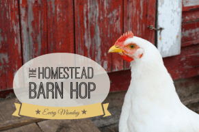 Homestead-Barn-Hop-NEW