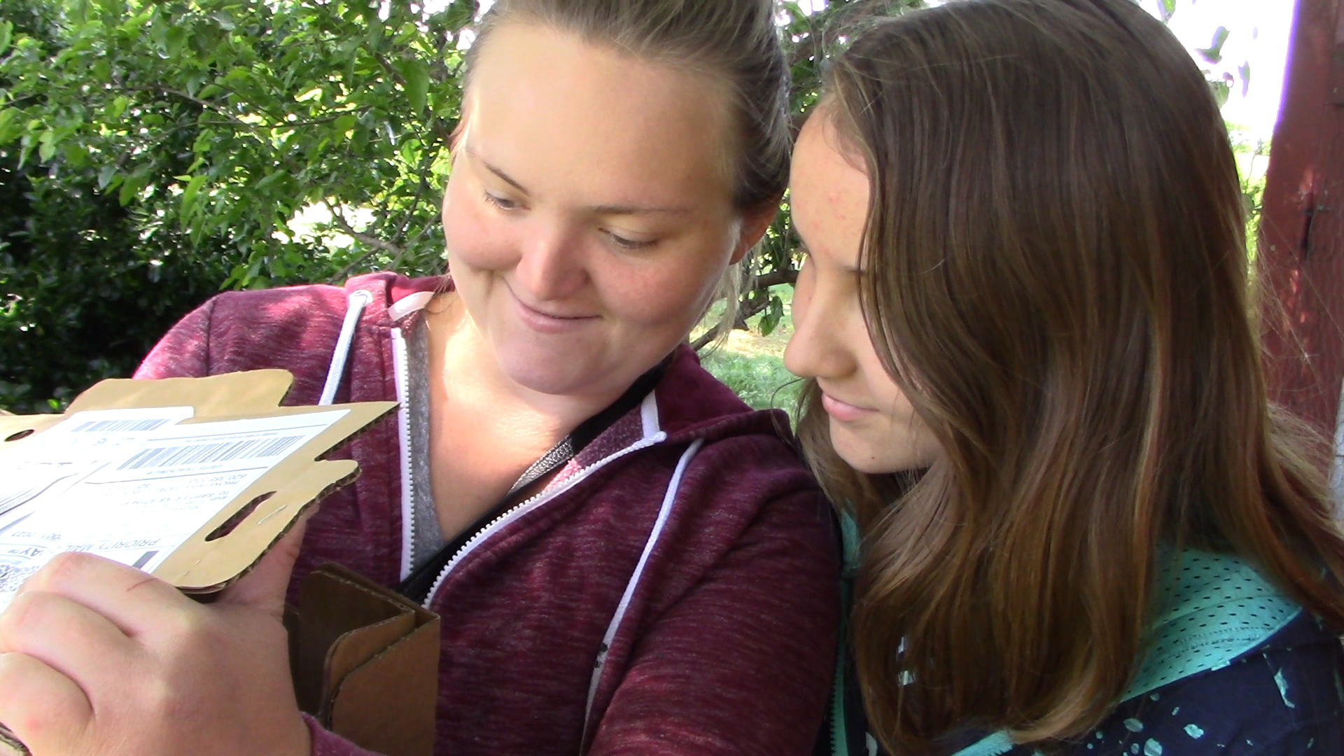 Our Baby Ducklings Arrived In the Mail