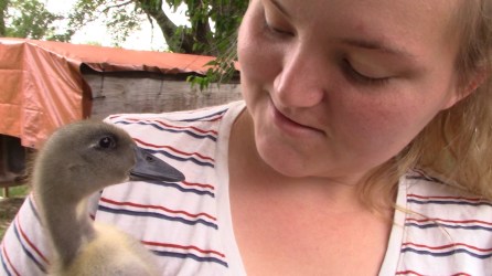 Bunnes, Ducklings, and Missing Turkey Eggs It's An Animal Update on the Homestead3