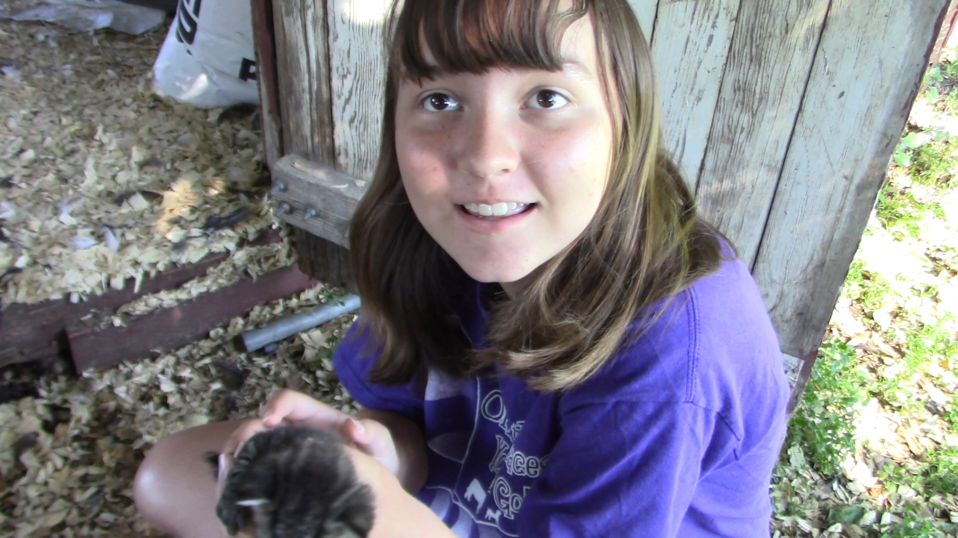 planting pumpkins and sunflowers