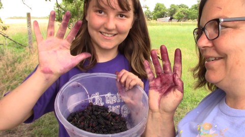 Picking berries.jpg